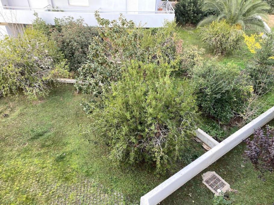 Spacious And Sunkissed 3Br & 2 Bathrooms Apartment Athens Ngoại thất bức ảnh